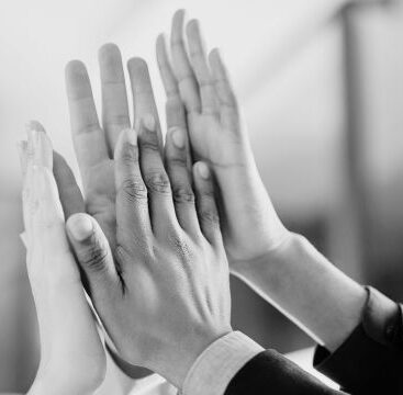 agenzia di comunicazione Trieste The Action