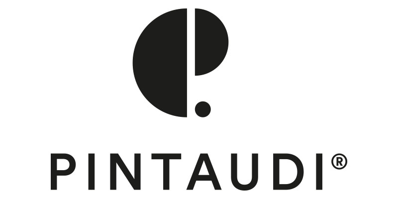 logo pintaudi