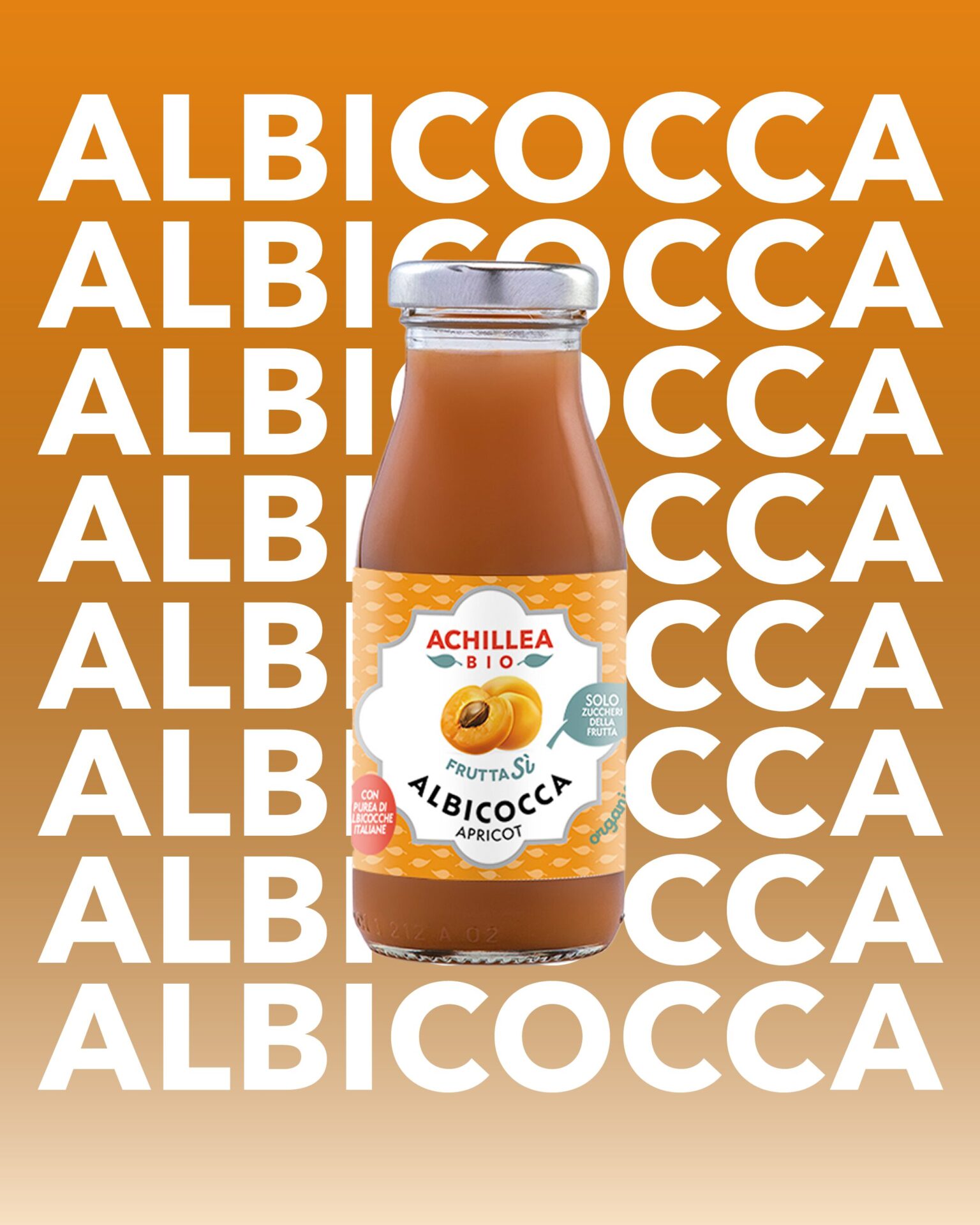 albicocca_01@2x