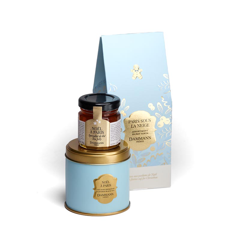 the-action_0004_8775_8767_paris_sous_la_neige_gelee